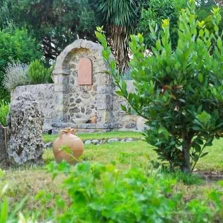 Bouganville *